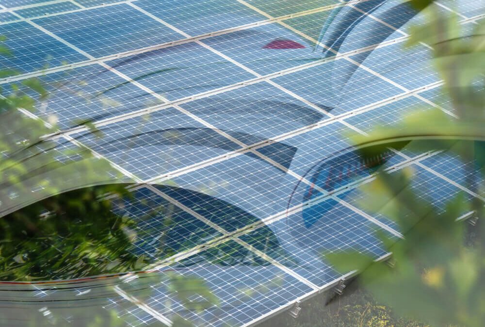 AMK ENERGY à l’honneur dans capital