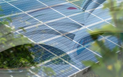 AMK ENERGY à l’honneur dans capital