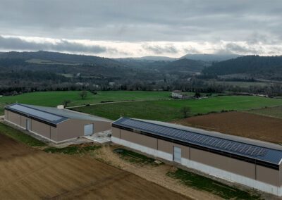VIGNES-13