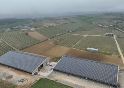VIGNES-7